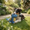 dragon-squeaky-toy-for-dogs Dragon squeaky toy for dogs