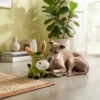 durable-donkey-chew-toy-for-dogs Durable donkey chew toy for dogs