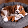 fox-squeaky-plush-dog-toy Fox squeaky plush dog toy