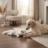 goose-feather-squeaky-dog-toy Goose Feather Squeaky Dog Chew Toy