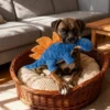 interactive-dinosaur-toy-for-dogs Dinosaur Plush Interactive Dog Toy