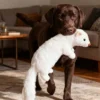 interactive-goose-feather-dog-toy Interactive goose feather dog toy