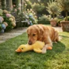 yellow-duck-interactive-dog-toy Yellow Duck Plush Dog Toy