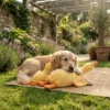 yellow-duck-plush-chew-toy-for-dogs Yellow Duck Plush Dog Toy