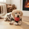 Apricot Contrast Plaid Dog Sweatshirt