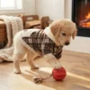 Apricot Contrast Plaid Dog Sweatshirt