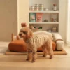 Arden elevated dog bed for relaxing and sleeping