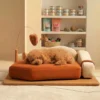 Arden elevated dog sofa bed in a stylish home interior