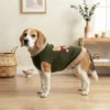 bear-pattern-dog-sweater Bear Knit Turtleneck Dog Sweater