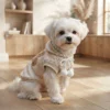 bear-print-dog-sweatshirt Cartoon Bear Dog Sweatshirt