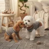 blue-brown-knit-dog-sweater Blue and brown knit dog sweater