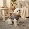 blue-brown-striped-dog-sweater Theo Blue & Brown Striped Dog Sweater