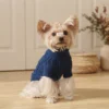 Blue cozy knit dog hoodie