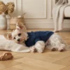 Blue warm knit dog hoodie