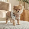 brown-bunny-winter-dog-sweater Brown bunny winter dog sweater