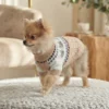 bunny-knit-dog-sweater Bunny knit dog sweater