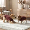 Burgundy Knit Turtleneck Dog Sweater