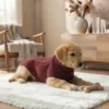 Burgundy Knit Turtleneck Dog Sweater