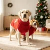Claus red reindeer dog sweater