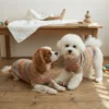Cozy coffee knit dog sweater