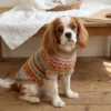 Coffee Nordic Striped Knit Dog Sweater