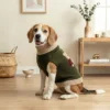 cozy-bear-knit-dog-sweater Bear Knit Turtleneck Dog Sweater