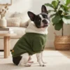 Cozy fleece lined dog hoodie