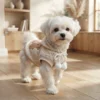 cute-bear-dog-sweatshirt Cute bear dog sweatshirt