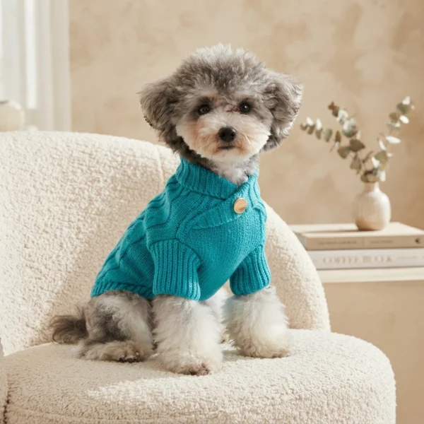 cyan-cable-knit-dog-sweater Cyan cable knit dog sweater