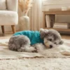 cyan-warm-knit-dog-sweater Cyan warm knit dog sweater