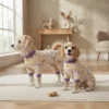 dark-violet-cartoon-dog-pjs Dark violet cartoon pajamas for dogs