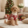 Festive red Christmas dog sweater