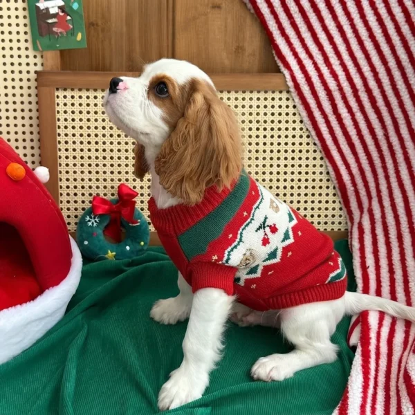 festive-red-christmas-dog-sweater Festive red Christmas dog sweater