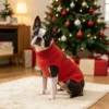 Festive red reindeer dog sweater