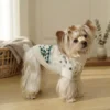 green-aspen-snowflake-dog-sweater Green Aspen snowflake dog sweater
