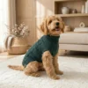 green-navy-knit-dog-sweater Green navy knitted dog sweater