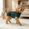 green-navy-turtleneck-dog-sweater Green Navy Knit Turtleneck Dog Sweater