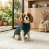 green-navy-warm-dog-sweater Green Navy Knit Turtleneck Dog Sweater