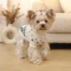 green-snowflake-knit-dog-sweater Green snowflake knit dog sweater