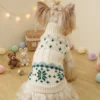 green-winter-knit-dog-sweater Green winter knit dog sweater