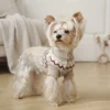 light-khaki-high-neck-knit-sweater Light Khaki High Neck Dog Sweater