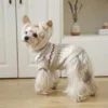 light-khaki-warm-dog-sweater Light Khaki High Neck Dog Sweater