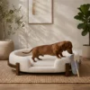 Luna Elevated Dog Bed