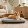 Marlow elevated dog bed for relaxing and sleeping