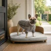 Marlow elevated dog sofa bed in a stylish home interior