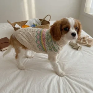 Nordic pattern dog sweater