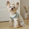 off-white-cozy-dog-sweater Cozy off white dog sweater