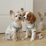 Off White High Neck Dog Sweater