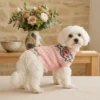 pink-floral-knit-dog-sweater Pink floral knit sweater for dogs