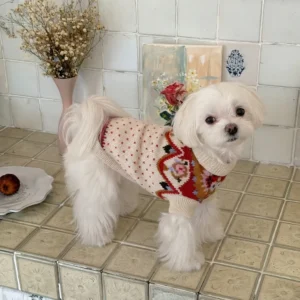 Poppy red and white flower dog sweater